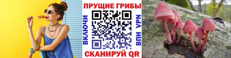 Галлюциногенные грибы GOLDEN TEACHER  Бахчисарай 